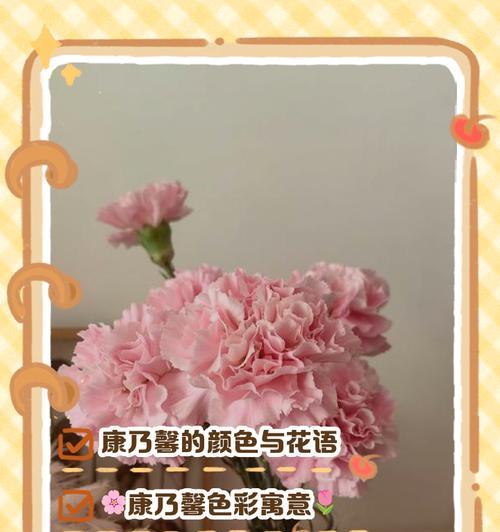 康乃馨花色的含义与象征（以康乃馨颜色传达情感和意义）
