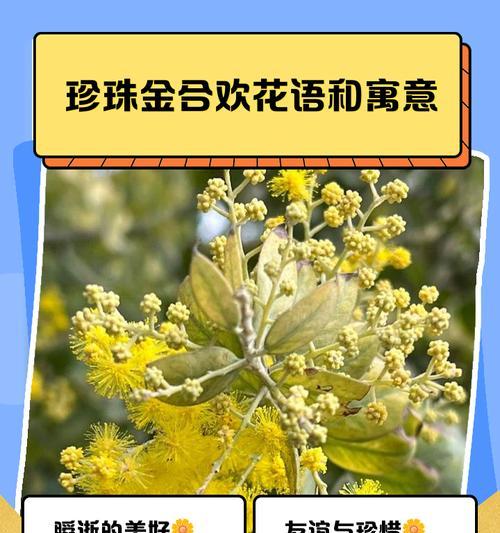 黄玫瑰的象征意义及文化背景（黄玫瑰传递着友谊、欢乐与秘密）