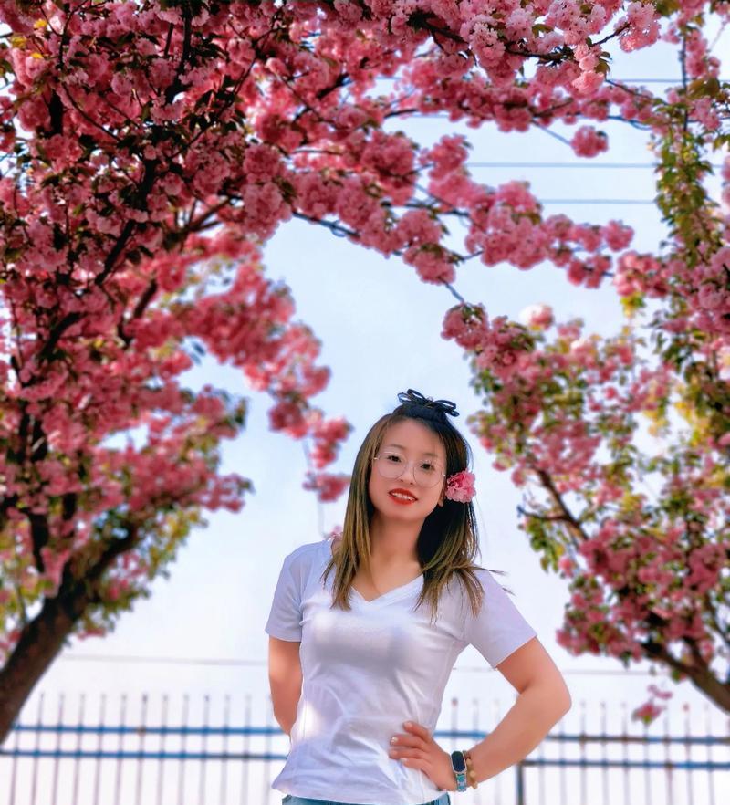樱花的花语与象征意义（探索樱花美丽的花语与象征意义，了解它们的深层含义）