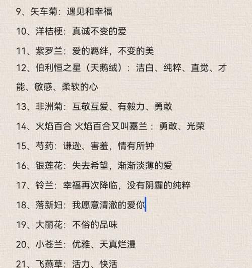 玫瑰花语的意义及传统与现代应用（探索玫瑰花语的历史渊源与当代意义）