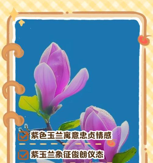 红玉兰花（红玉兰花的寓意和象征解析｜红玉兰花与人生的启示）