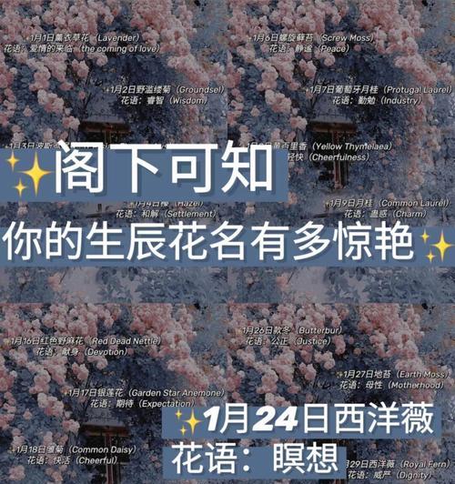 爱情花语情侣名代表什么？