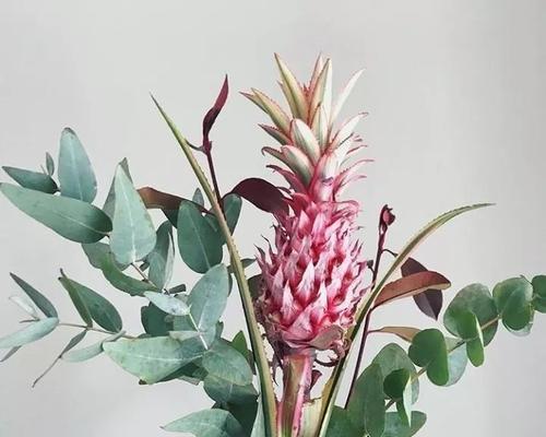 新年粤语祝福花语怎么说？