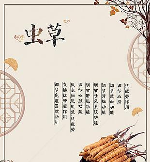 虫草花的爱情寓意是什么？如何选择？