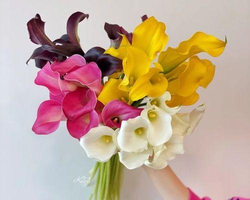 白绿黄色手捧花有何寓意？这三种颜色组合的花束象征着什么？