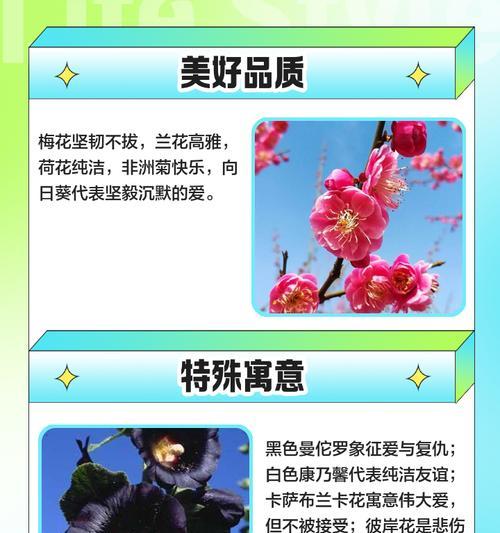各色各样花的寓意是什么？不同颜色的花代表什么意义？