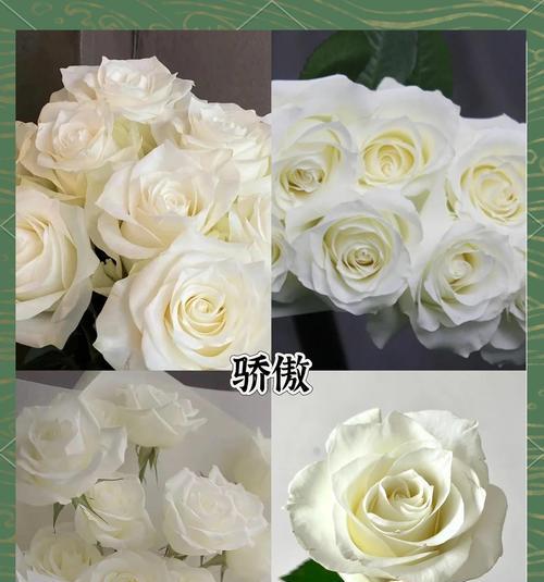 送白色花有什么含义？白色花代表不好的寓意吗？