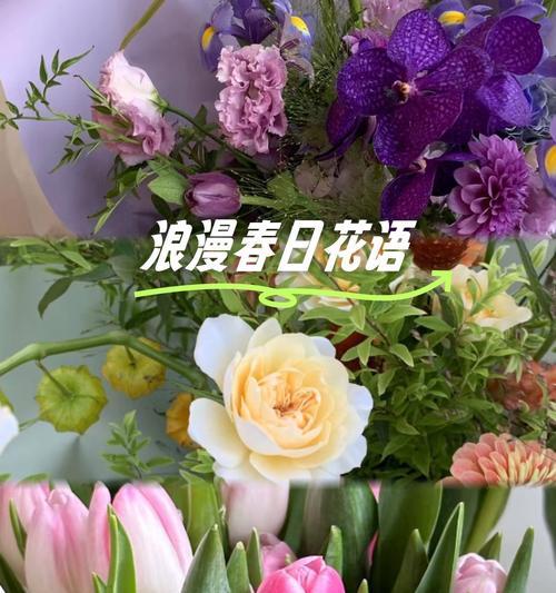 快乐没有烦恼的花语是什么？它们在花语中通常代表什么？