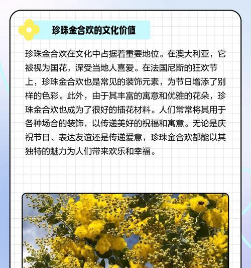 手捧花与珍珠花的寓意分别是什么？