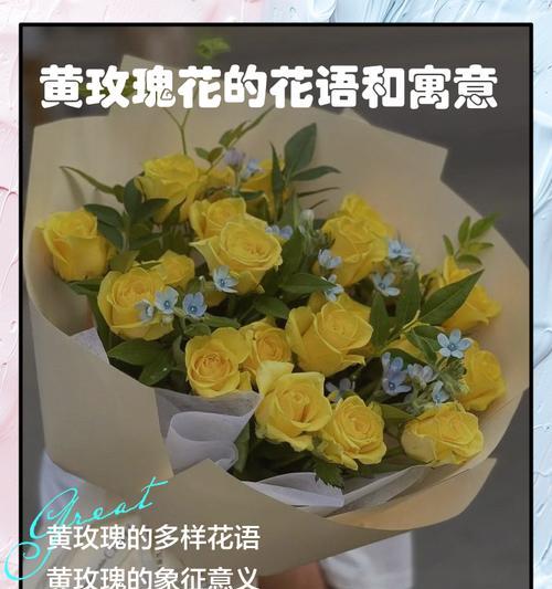 花的寓意和花语祝福有哪些？