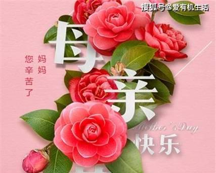 母亲节送给妈妈的花意义是什么？