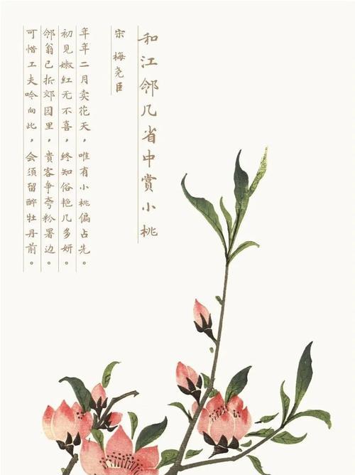 南国浪漫花语是什么？如何用南国花语表达情感？