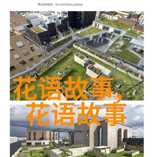 南国浪漫花语是什么？如何用南国花语表达情感？