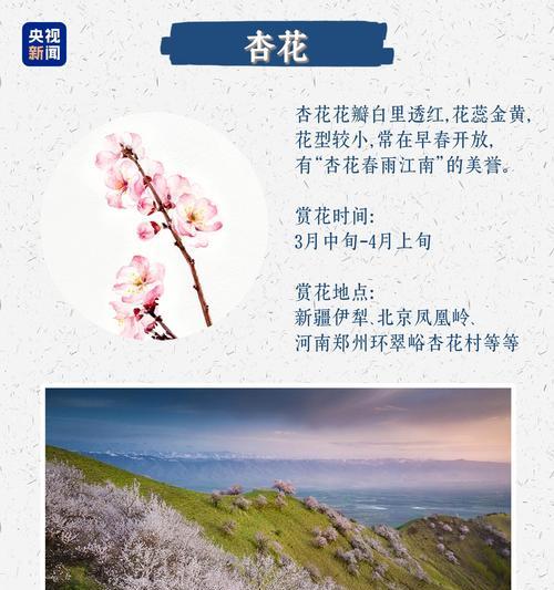 五朵花代表的浪漫含义是什么？