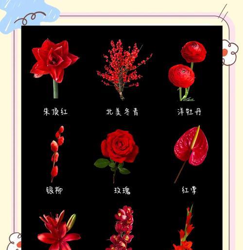 哪些传统花卉具有特殊意义？传统花卉的意义是什么？