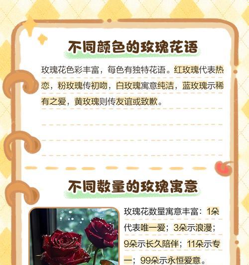 单色玫瑰花的意义是什么？单色玫瑰花的花语有哪些？