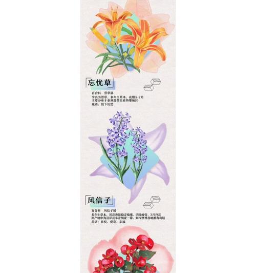 浪漫花语春秋被的含义是什么？