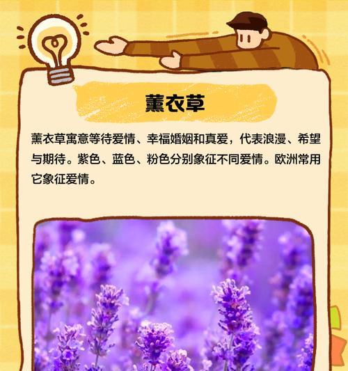 浪漫花语春秋被的含义是什么？