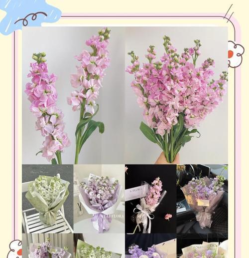 爱情到来时有哪些花语？表达爱情的花有哪些选择？