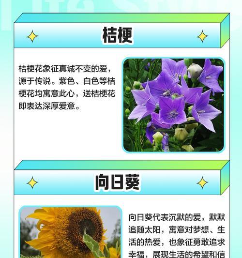 爱情到来时有哪些花语？表达爱情的花有哪些选择？