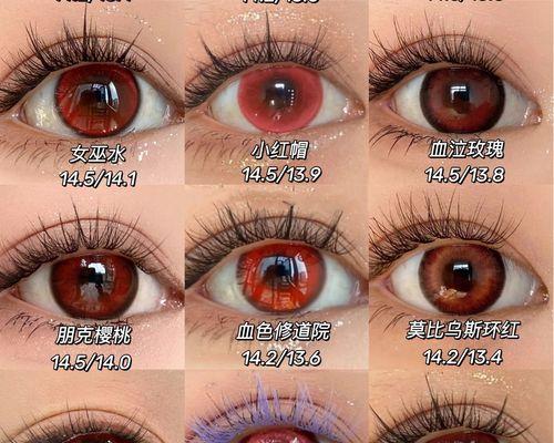 血色蔷薇花代表了什么？它们的寓意有哪些？