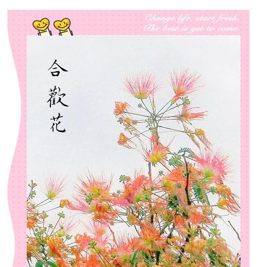 花代表爱情的寓意有哪些？