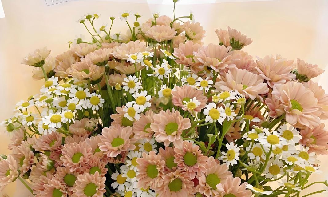 哪些花象征健康？这些花的寓意和人健康有何关联？