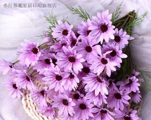五朵紫色的花代表什么含义？