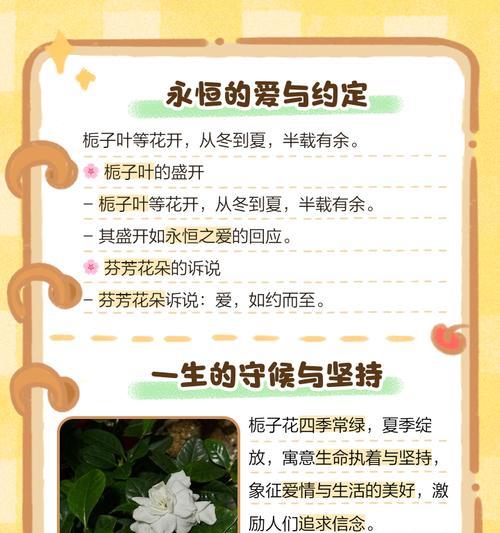 栀子花的爱情花语是什么？它有哪些寓意？