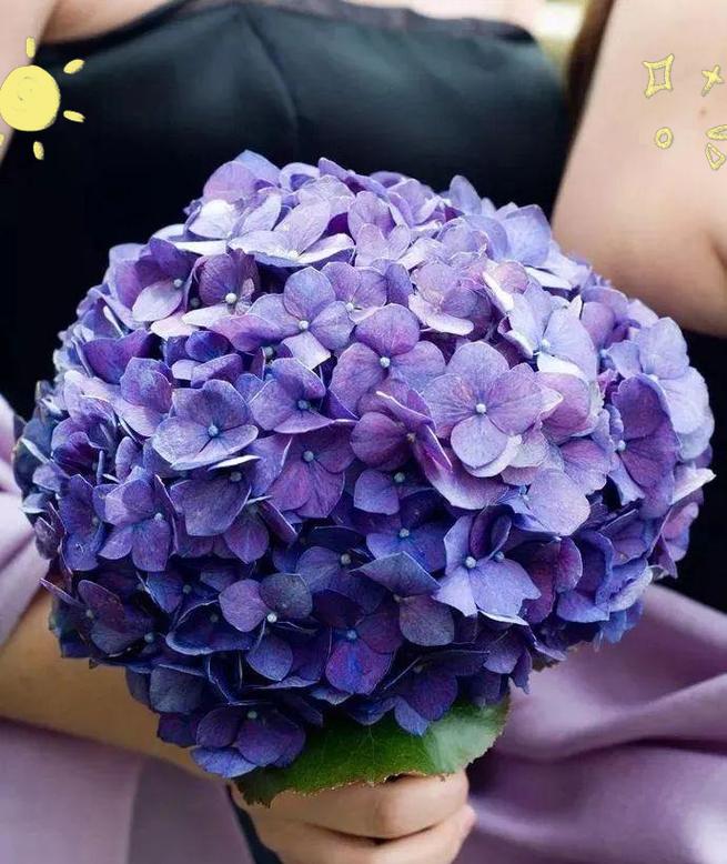 手捧花送给朋友有何象征意义？