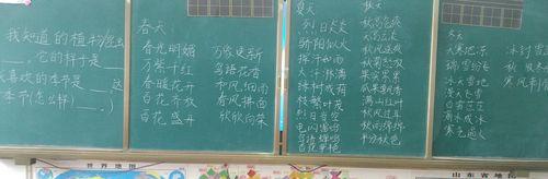 花的季节和代表的意义是什么？如何理解？