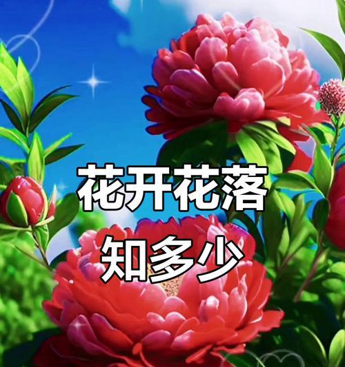 花的季节和代表的意义是什么？如何理解？