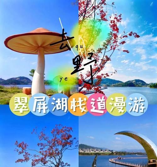 道家蓝色花有何寓意？它的象征意义是什么？