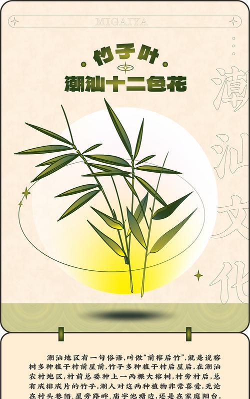 哪些花带有寓意习俗？寓意习俗的花有哪些特点？