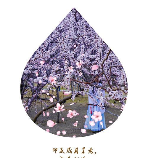 古时候哪种花代表爱情的灵魂？