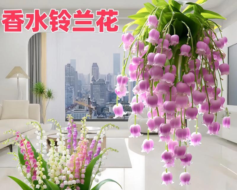 有哪些花的花语是祝福对方幸福？