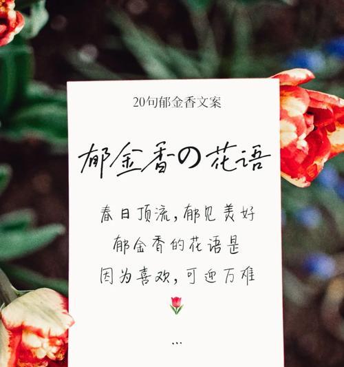 什么样的花语能带走祝福？带走祝福的花语有哪些？