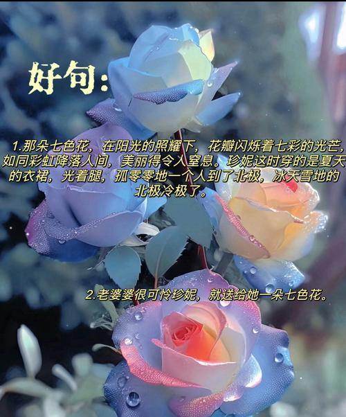 七色花中每种颜色分别代表什么？如何选择合适的颜色组合？