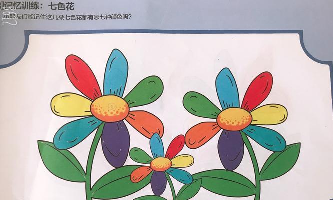 七色花中每种颜色分别代表什么？如何选择合适的颜色组合？