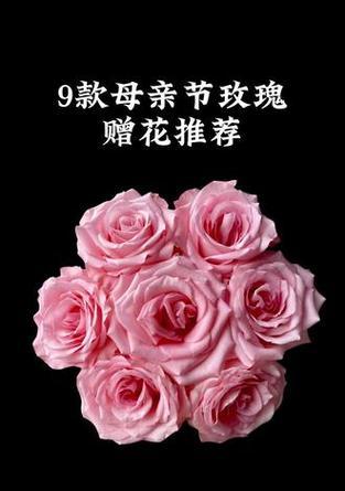 纯粉色玫瑰花的寓意是什么？粉色玫瑰在爱情中代表什么？