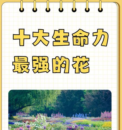 哪种花象征成功？花的寓意中成功代表什么？