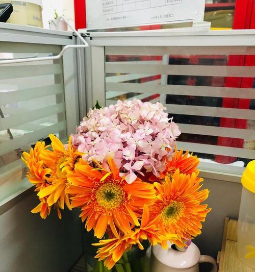 橙色绣球花的花语和寓意是什么？如何表达情感？