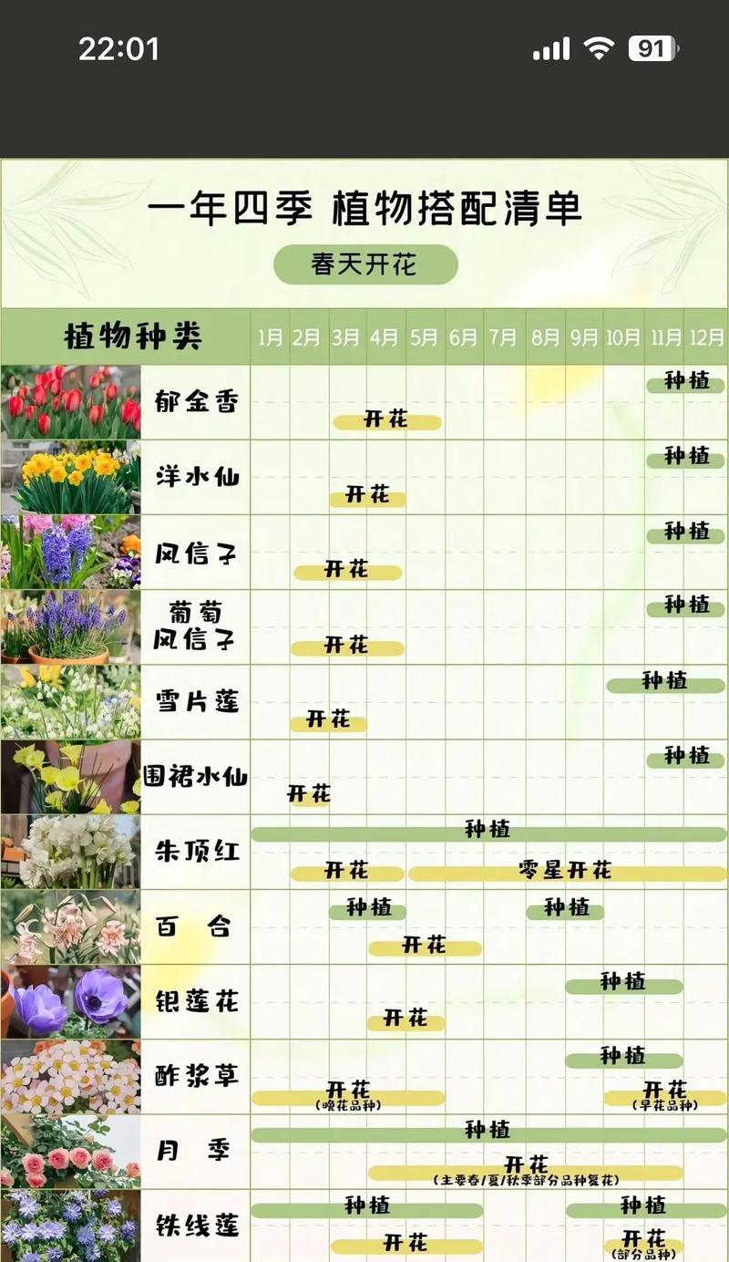 哪种花的颜色寓意最好？花的颜色寓意有何不同？