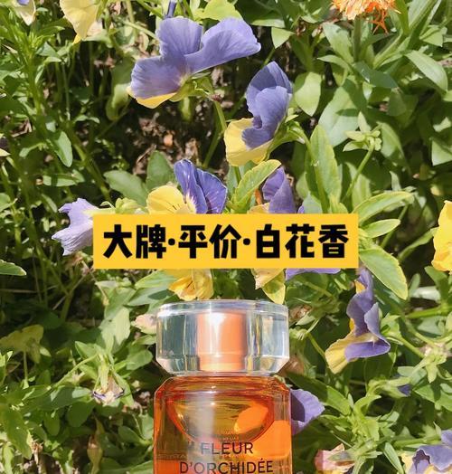 白色栀子花的寓意是什么？赠送白色栀子花有何含义？