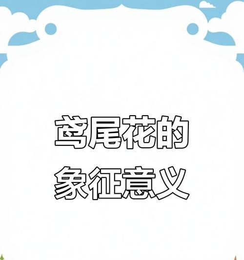 不同颜色的花各自代表什么含义？