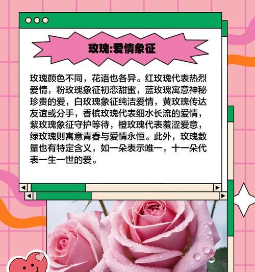 哪些花代表礼仪的意义？