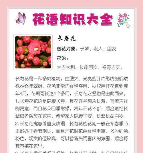 黄色长寿花的含义是什么？它们在花语中象征着什么？