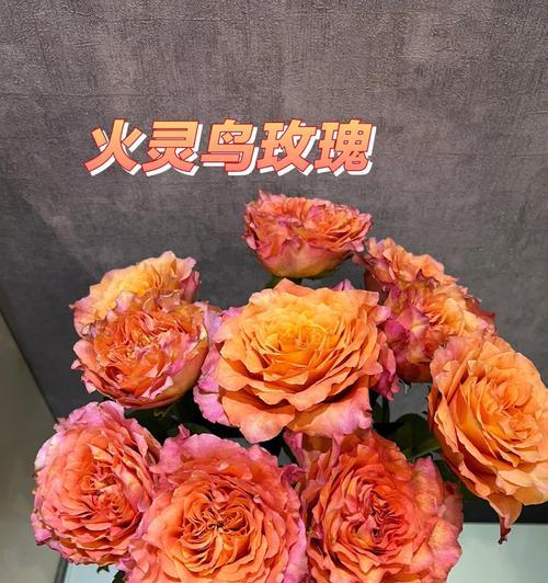 花语鸟香色是什么意思？花语鸟香色的花有哪些？