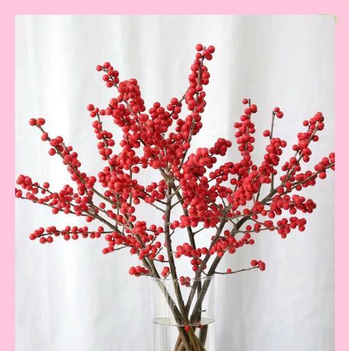 春节花语心情是什么？如何用花表达节日情感？