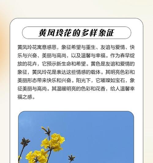 春节花语心情是什么？如何用花表达节日情感？